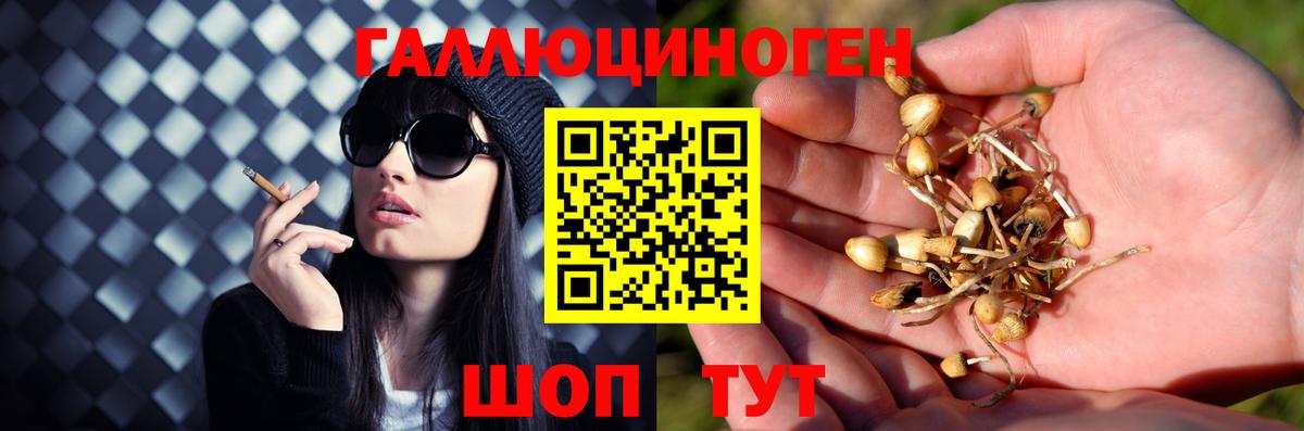 Псилоцибиновые грибы Magic Shrooms  Вход с VPN  Мыски  Галлюциногенные грибы Magic Shrooms 